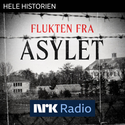 episode I NRK Radio: Flukten fra asylet artwork