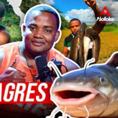 episode EL REY DE LOS BAGRES (TODO LO QUE TIENES QUE SABER DE ESTA ESPECIE CON JAVIER GOLDFISH) artwork
