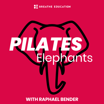 Pilates Elephants
