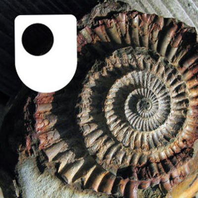Fossil Detectives - for iPod/iPhone