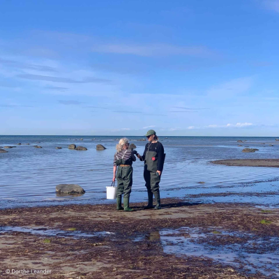 episode WW435: Von Salzsiedern, Seegrasdächern und starken Frauen – unterwegs auf der dänischen Insel Læsø mit Miriam Menz artwork