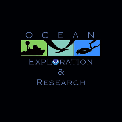 episode NOAA Ship Okeanos Explorer: Leg 2: Northeast U.S. Canyons 2013 Expedition: July 31 - August 17 artwork