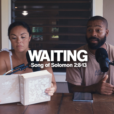 episode Waiting artwork