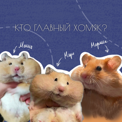 episode КТО ИЗ НАС ГЛАВНЫЙ ХОМЯК? artwork