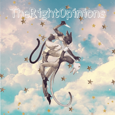 TheRightOpinions