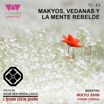 episode T2-P3. Makyos, vedanas y la mente rebelde artwork