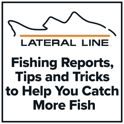 Fishing Reports by Lateral Line Fishing Journal