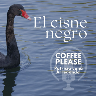 episode El cisne negro artwork