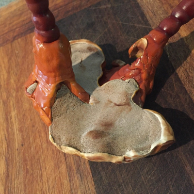 episode Episode 08: Sporopod Short - Making Reishi Tincture artwork