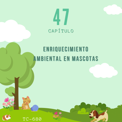 episode Episodio 47. Enriquecimiento ambiental en mascotas artwork