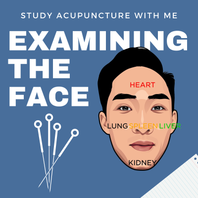 episode Inspecting the Face EP15 artwork
