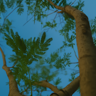 episode Cet arbre planté en juin a survécu à la canicule de juillet (et je vous explique comment) artwork