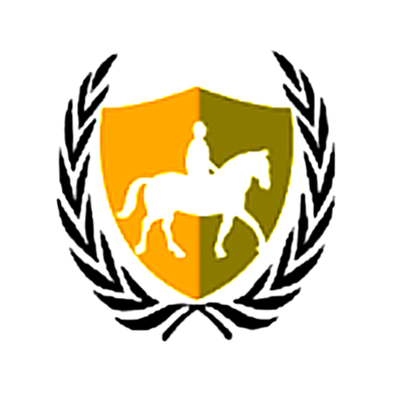 Strategic Intelligence Network