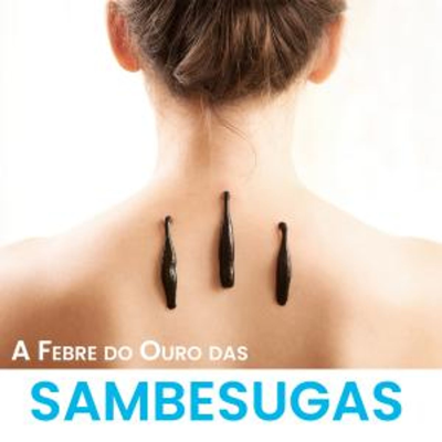 episode Efer 699 (20-2-25): A febre do ouro das sambesugas artwork
