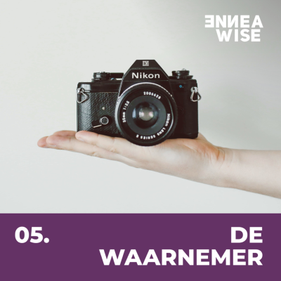 episode Type 5: De Waarnemer artwork