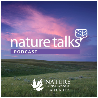episode Nature, The Engineer: The Village That Needed a Forest to Protect its Drinking Water artwork