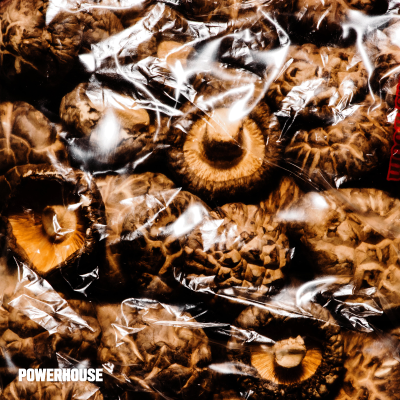 episode MUSHROOMS artwork