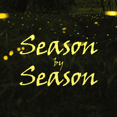Season by Season