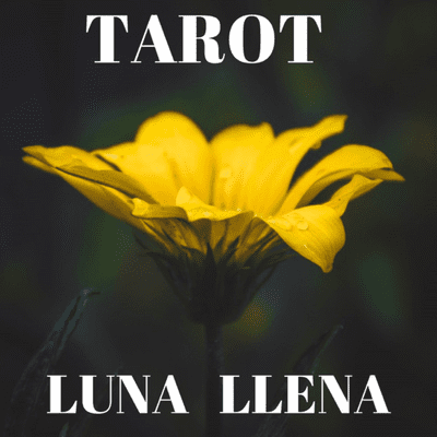 TAROT LUNA LLENA