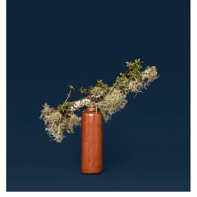 episode Conversations with New Zealand Photographers - Ann Shelton artwork