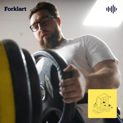 episode Testosteron: - Kan føre til at testiklene “slår seg av” artwork