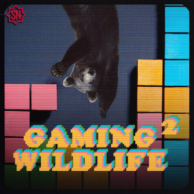 episode Gaming Wildlife 2 Ep.8 - Il mio 2024 videoludico artwork