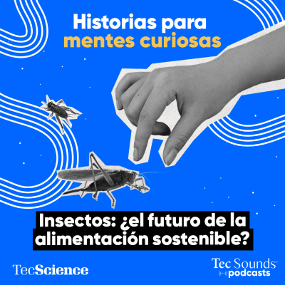 episode Ep. 107 - Insectos: ¿el futuro de la alimentación sostenible? artwork