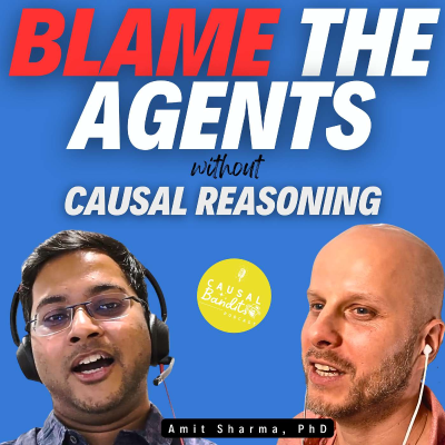 episode MSFT Scientist: Agents, Causal AI & Future of DoWhy | Amit Sharma S2E4 | CausalBanditsPodcast.com artwork