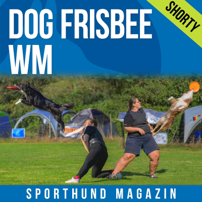 episode Shorty: Dog Frisbee WM artwork