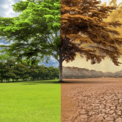 episode Food Security in a Climate Effected World artwork