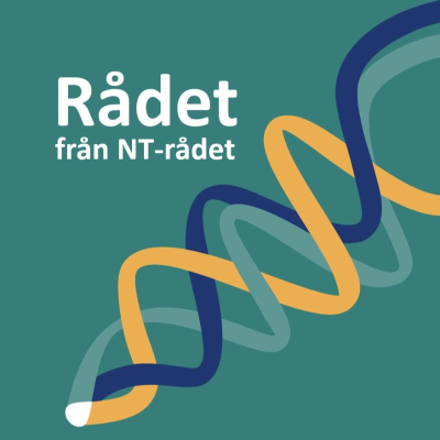 Rådet från NT-rådet