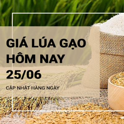 episode Giá lúa gạo hôm nay ngày 25/06/2024: Giá gạo thành phẩm tăng 150 - 200 đồng/kg artwork