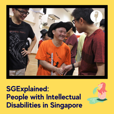 episode People with Intellectual Disabilities in Singapore artwork