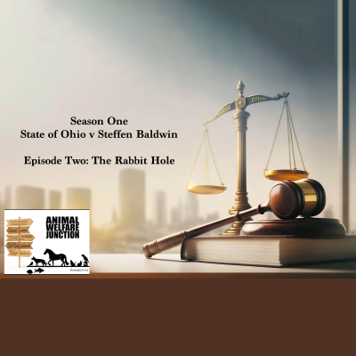 episode Season 1: State vs Steffen Baldwin / Episode 2: The Rabbit Hole artwork