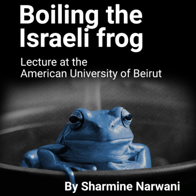 episode Asymmetrical Warfare: How to boil the Israeli frog artwork