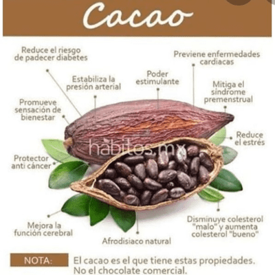 Beneficios Del Nibs De Cacao