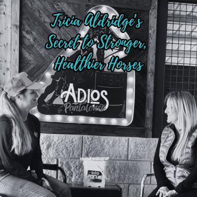 episode Tricia Aldridge’s Secret to Stronger, Healthier Horses artwork