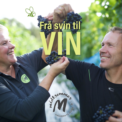 Frå svin til vin