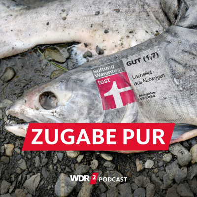 episode Lachs Christmas - die Woche im Satire-Remix artwork