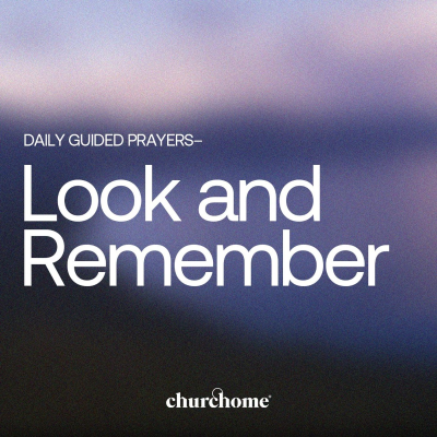 episode Look and Remember artwork