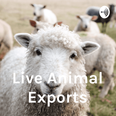 Live Animal Exports