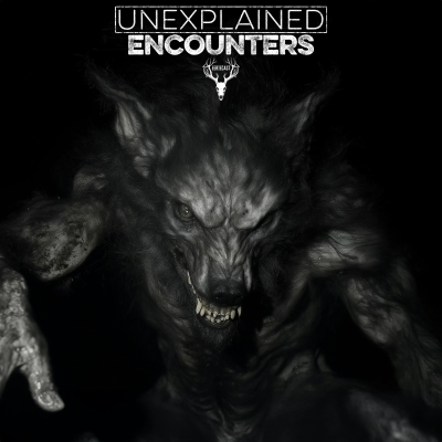 episode 521 | Beast of Bray Road SIGHTING - 7 True Scary Stories of the Unexplained artwork