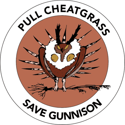 Cheatcast