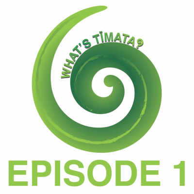 episode Episode 1 artwork