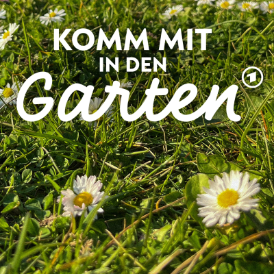 episode Rasen: Welches Grün für welche Fläche? artwork