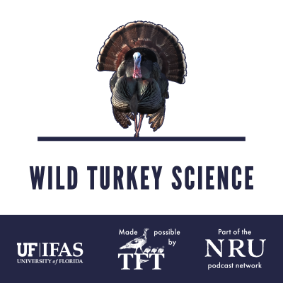 episode Landscape level habitat corridor sustains turkeys | Wild Turkey Science #494 artwork
