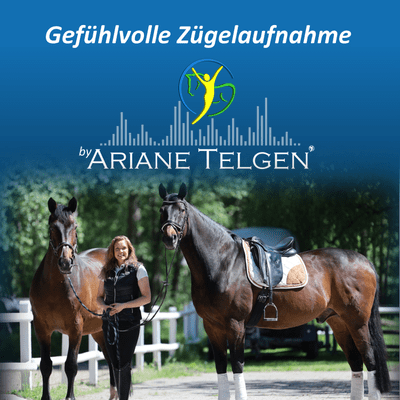 episode Gefühlvolle Zügelaufnahme - Meine Basis für alles - Trailer artwork