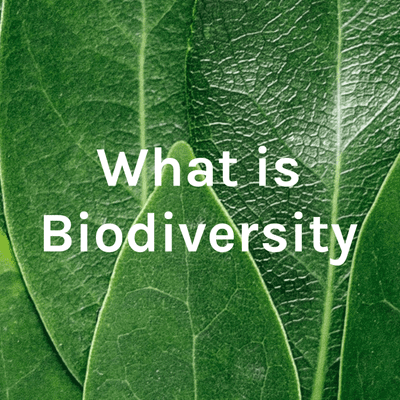 What is Biodiversity