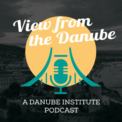 episode The Vibe Shift | View From The Danube artwork