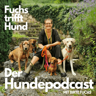 Fuchs trifft Hund